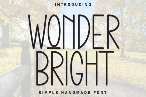 Discover the Warmth and Artistry of Wonder Bright Font